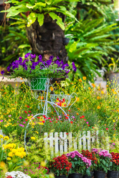 istock In home cozy garden on summer. 989455864