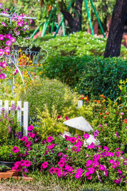 istock Cozy home flower garden on summer. 989456110