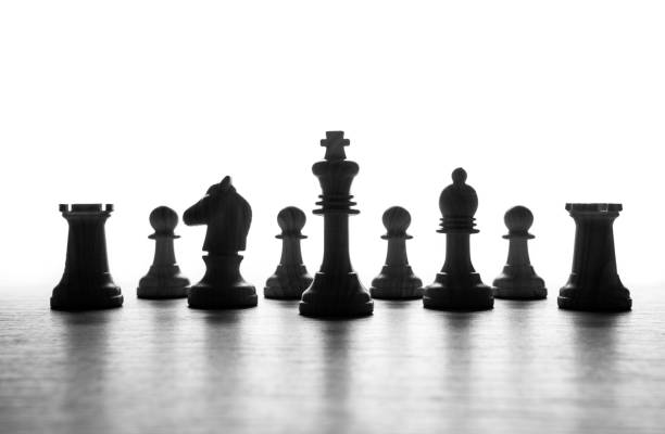 istock black-and-white chess pieces lined up in a row on a white background 989456498