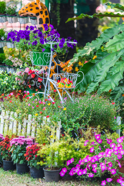 istock In home cozy garden on summer. 989456650