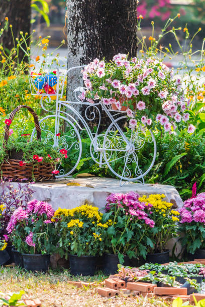 istock In home cozy garden on summer. 989456760
