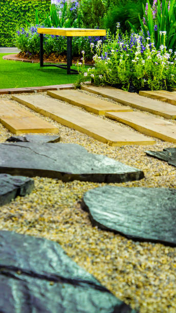 istock Cobblestone pathway in the garden. 989458412