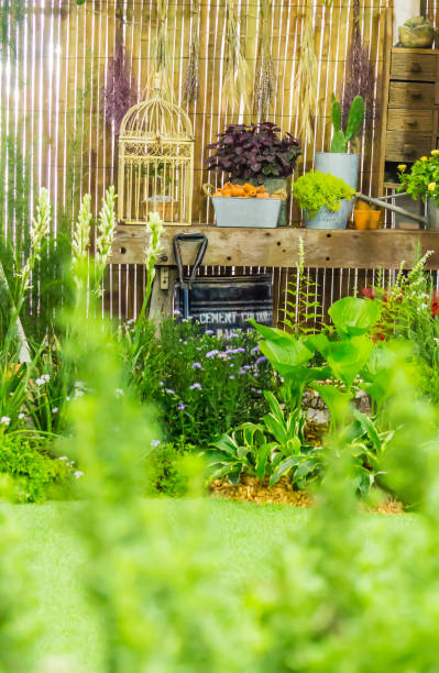 istock Relaxing area in cozy garden. 989459098