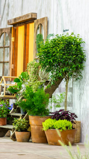 istock Relaxing area in cozy home. 989461924