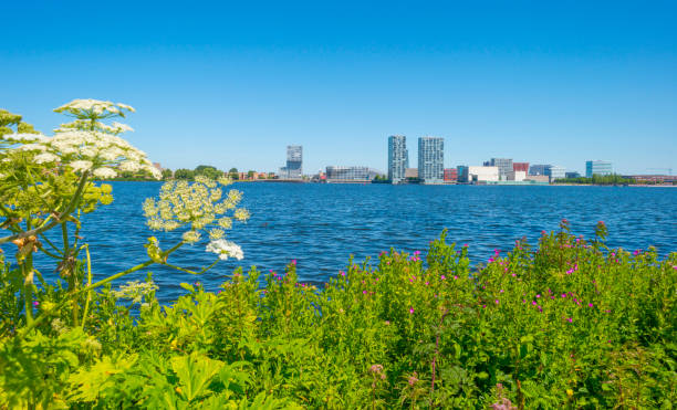 skyline de una ciudad a lo largo de la orilla de un lago bajo un cielo azul en verano - almere fotografías e imágenes de stock