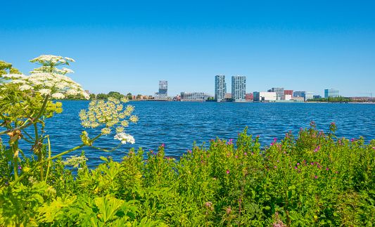Skyline of a city along the shore of a lake below a blue sky in summer