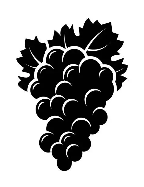 Vector illustration of bunch of grapes