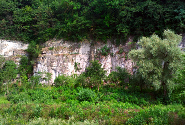 istock Trees on the rocks. Trees on the hill. 989467890