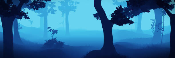 istock foggy fantasy forest, blue landscape banner 989489576