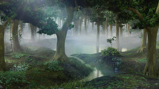misty swamp scenery at sunrise