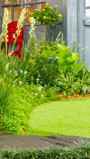 istock Relaxing area in cozy garden. 989493352