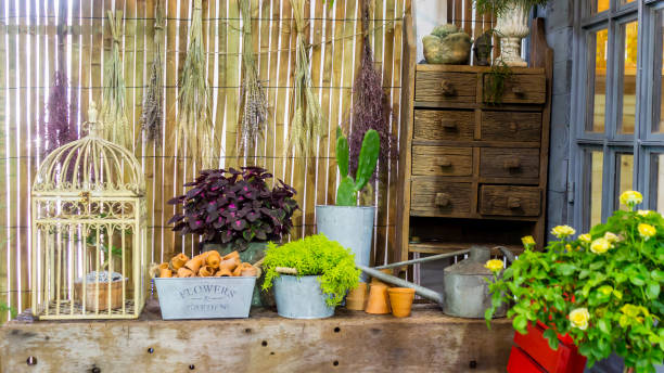 istock Relaxing area in cozy garden. 989494498