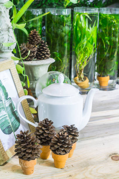 istock Relaxing area in cozy garden. 989497784