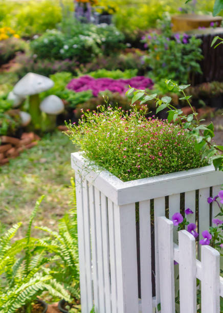 istock In home garden. 989512760