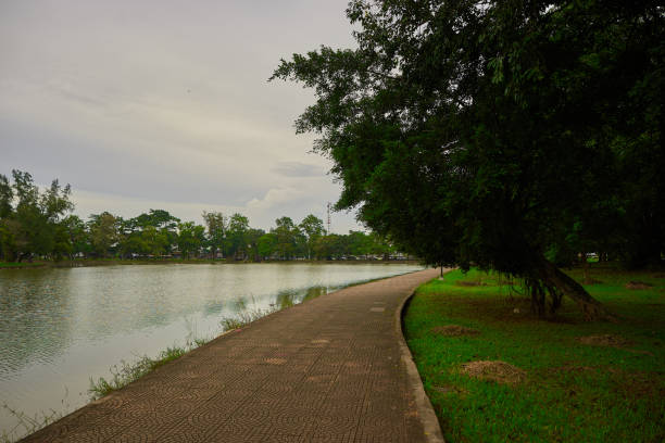 istock walkway beside the pond and green field and large sloping tree. 989522472