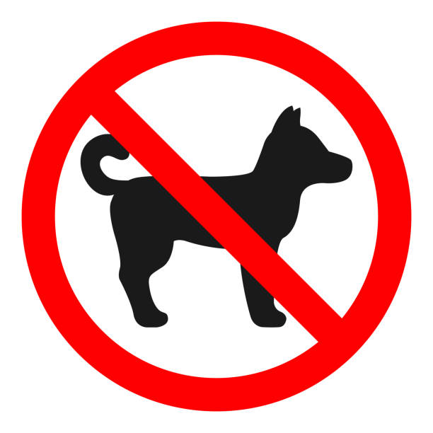 NO DOGS ALLOWED sign. Vector vector art illustration