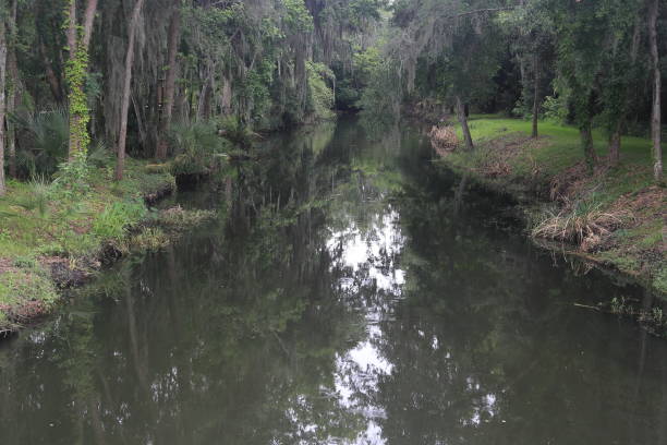 istock Florida Wetlans creek 989532112
