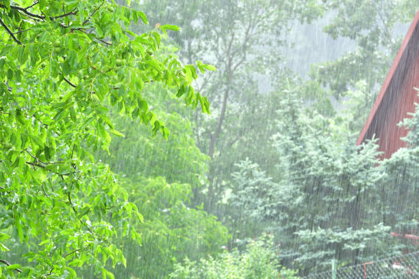 istock cold windy rainy weather in summer meteorology 989556480