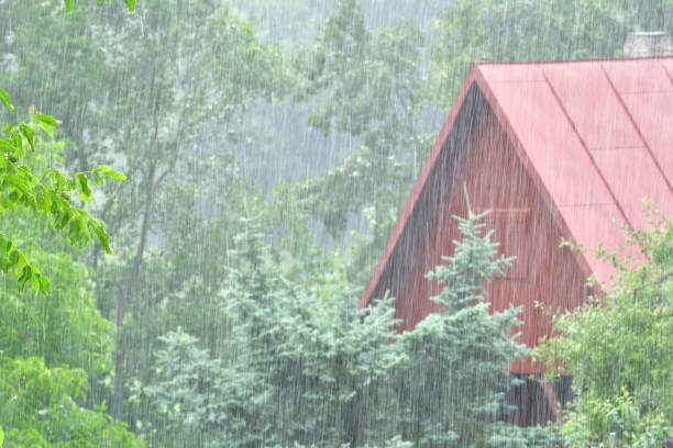 istock cold windy rainy weather in summer meteorology 989557452