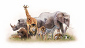 一緒に分離された動物園の動物のグループ