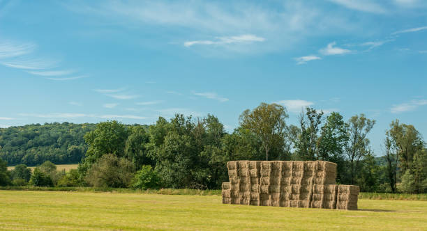 istock Stacked square bales in french meadow 989562014