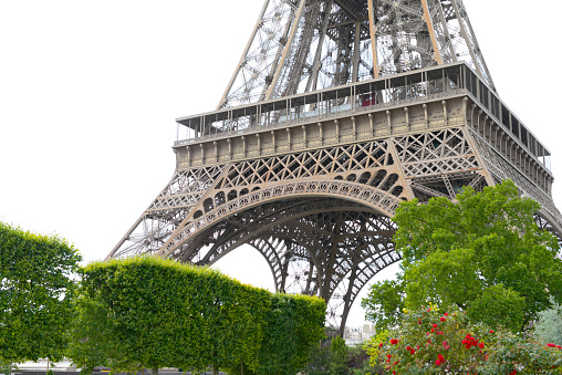 The Eiffel Tower in Paris among the spring green trees