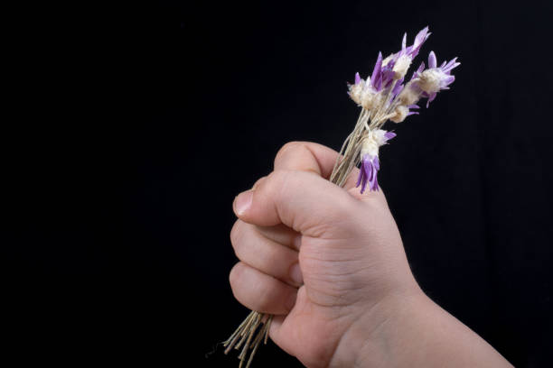 Beautiful colorful natural  flowers in dry form
