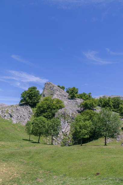 istock stone mountain among green trees in summer 989584990