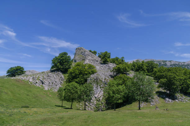 istock stone mountain among green trees in summer 989585544