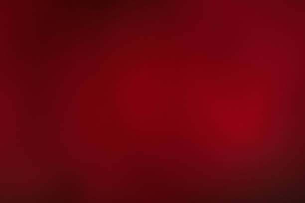 istock Blurry background of Flower petals 989593408