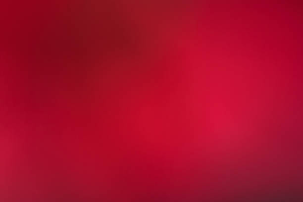 istock Blurry background of Flower petals 989593514