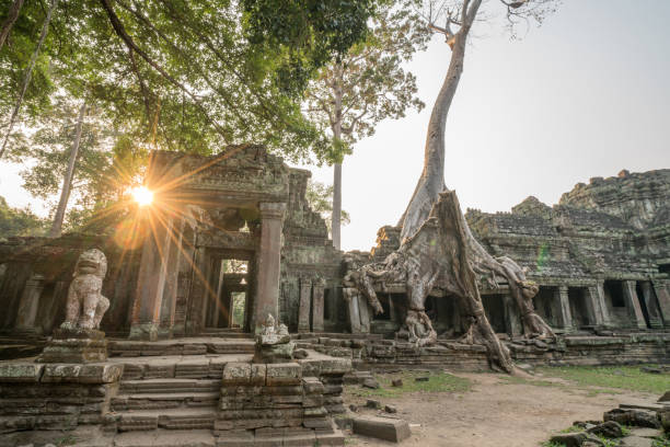 istock View of ancient temple and trees, Angkor Wat, Cambodia 989616586
