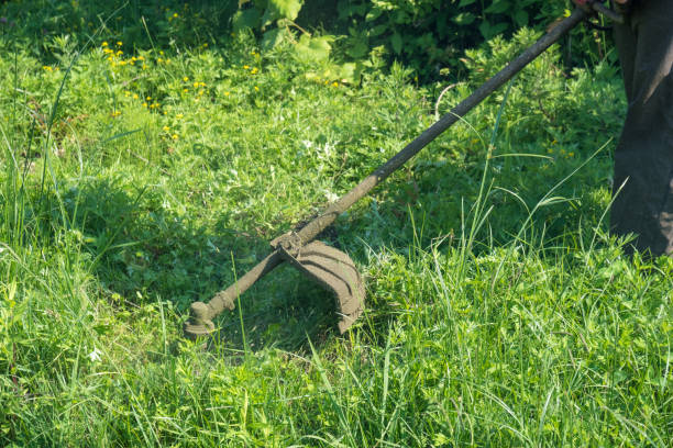istock The gardener cutting grass by lawn mower 989621006