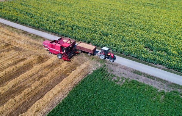 istock Combine harvester loading trailer of tractor 989624918