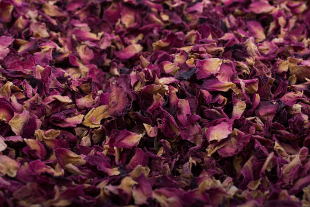 istock Background of dried  rose petals 989658968