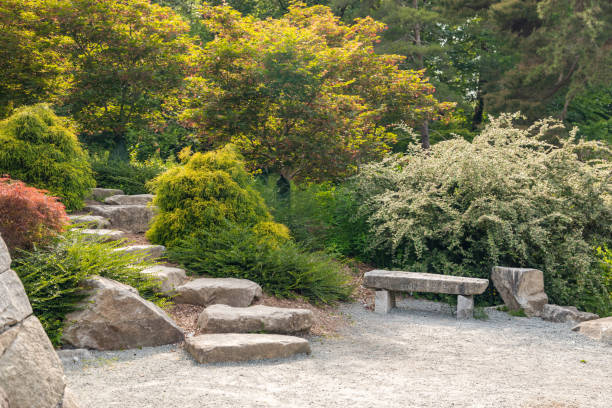 istock Beautiful Garden Setting With Stepping Stones 989659956