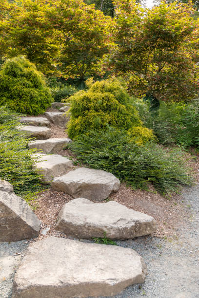 istock Beautiful Garden Setting With Stepping Stones 989659990