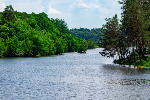 istock landscape with, forest and a river in front. beautiful scenery 989702986