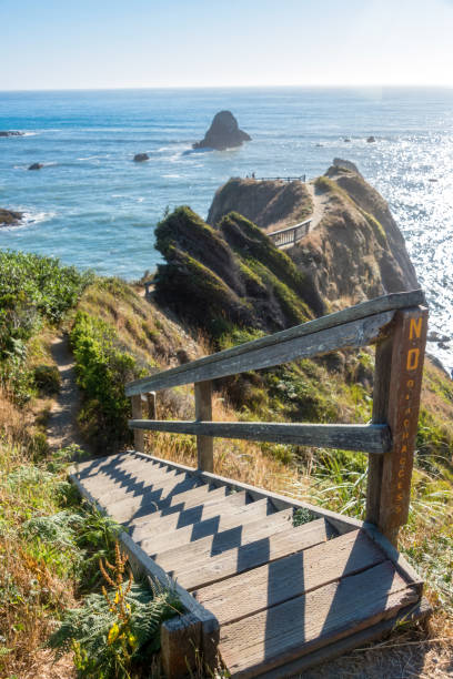 北カリフォルニアの海岸 - トリニダード - フンボルト郡 - humboldt county california coastline island ストックフォトと画像