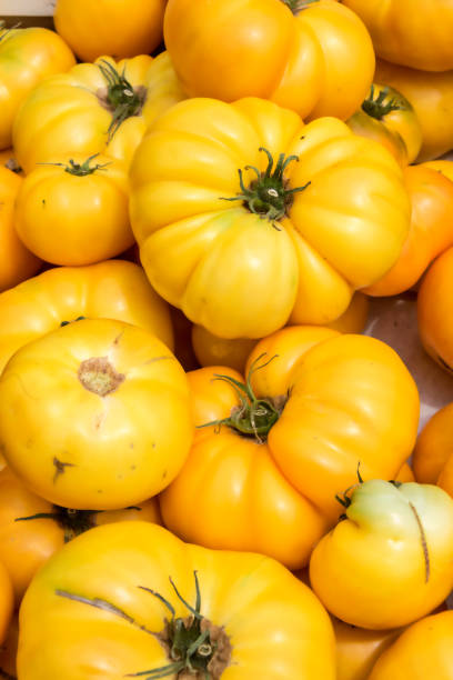 istock Yellow Organic Heirloom Tomatoes 989729810