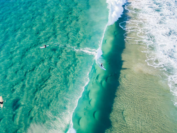 An aerial view of surfers waiting on the surfboard for a wave at the beach Surfers at the beach waiting for a wave on a clear day with clear blue/turquoise water queensland photos stock pictures, royalty-free photos & images