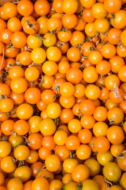 istock organic orange/yellow cherry tomatoes 989742970
