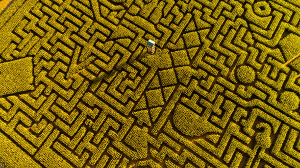 istock The huge Halloween's Corn Maze in Pennsylvania, Poconos Region 989788820