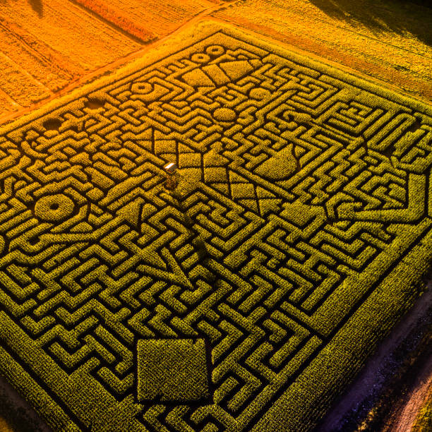 istock The huge Halloween's Corn Maze in Pennsylvania, Poconos Region 989788832