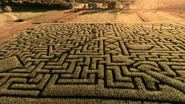 istock The huge Halloween's Corn Maze in Pennsylvania, Poconos Region 989788848