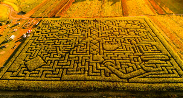 istock The huge Halloween's Corn Maze in Pennsylvania, Poconos Region 989788850