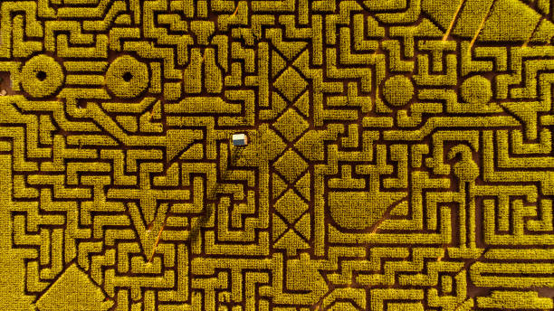 labyrinthe de maïs de l’halloween énorme en pennsylvanie, région des poconos - the poconos region photos et images de collection