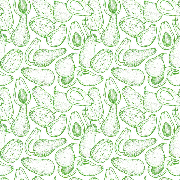 Avocado Varieties Vector Seamless pattern. Hand drawn Different types of Avocados. Background with California tropical fruit. Food background Avocado Varieties Vector Seamless pattern. Hand drawn Different types of Avocados. Background with California tropical fruit. Food background hass avocado stock illustrations