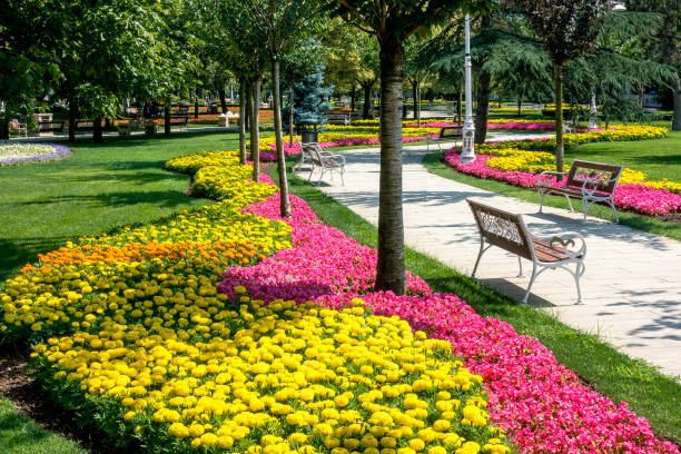 Flowerbed and bench in public park.