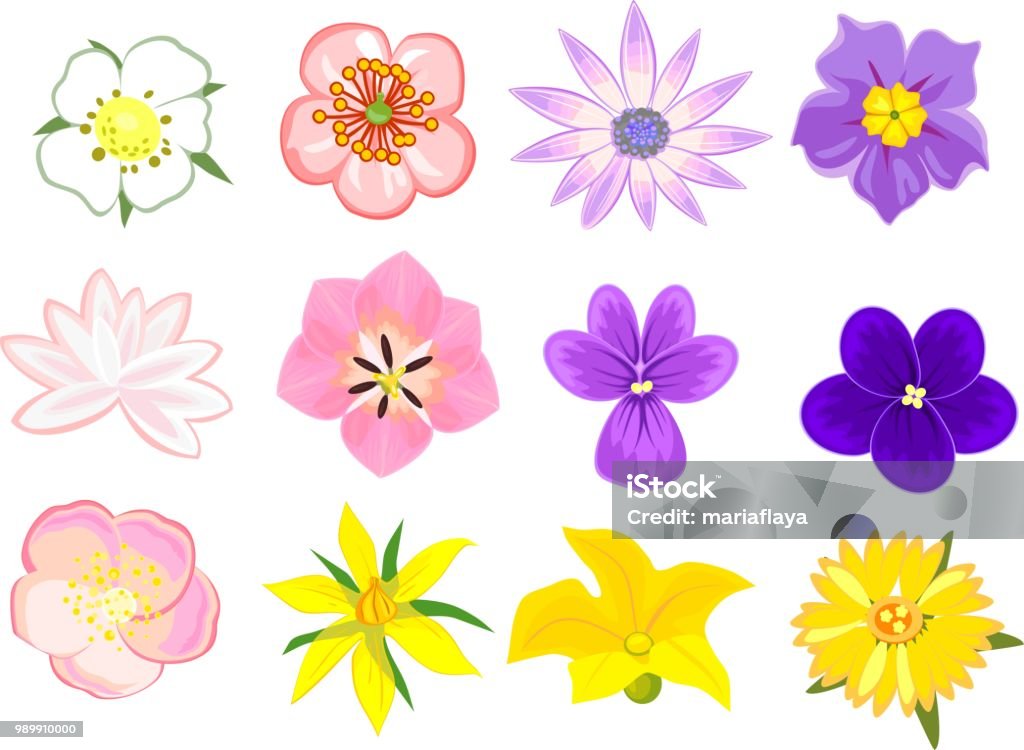흰색 바탕에 다양 한 꽃의 세트 0명에 대한 스톡 벡터 아트 및 기타 이미지 - 0명, 꽃-식물, 꽃잎 - iStock